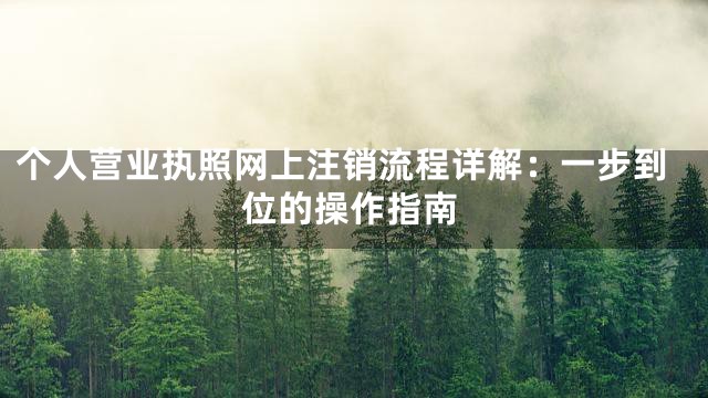 个人营业执照网上注销流程详解：一步到位的操作指南