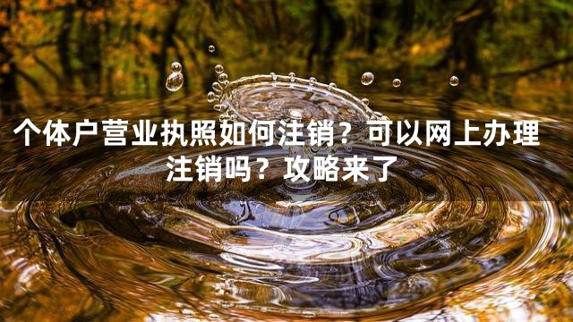 个体户营业执照如何注销？可以网上办理注销吗？攻略来了