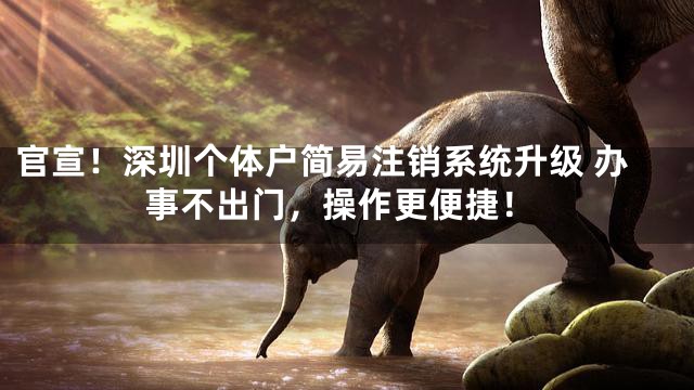 官宣！深圳个体户简易注销系统升级 办事不出门，操作更便捷！