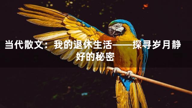 当代散文：我的退休生活——探寻岁月静好的秘密