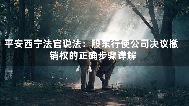 平安西宁法官说法：股东行使公司决议撤销权的正确步骤详解