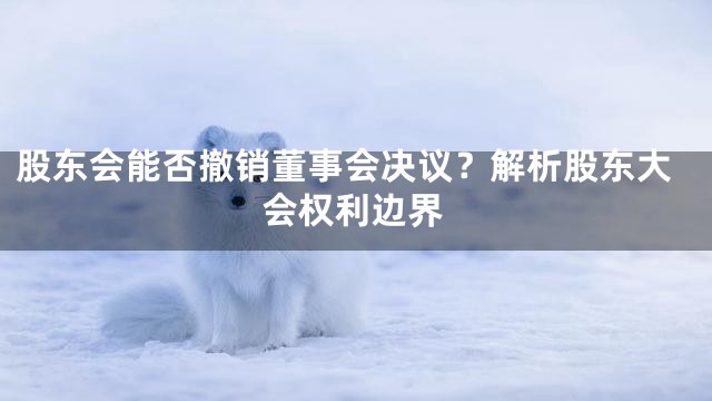 股东会能否撤销董事会决议？解析股东大会权利边界