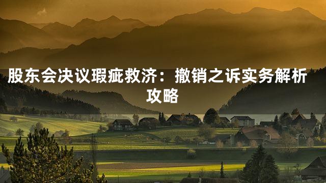 股东会决议瑕疵救济：撤销之诉实务解析攻略