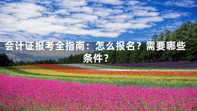 会计证报考全指南：怎么报名？需要哪些条件？