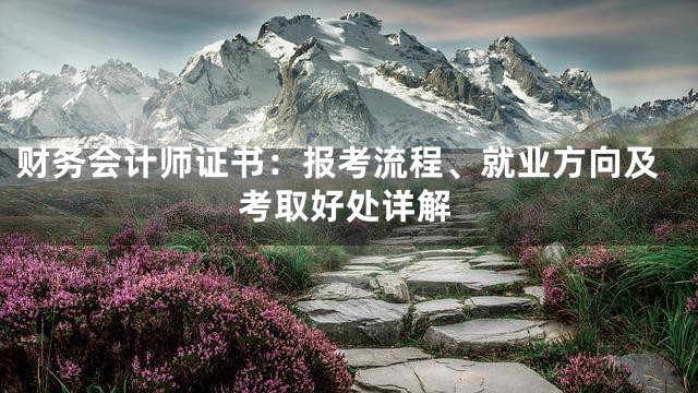 财务会计师证书：报考流程、就业方向及考取好处详解