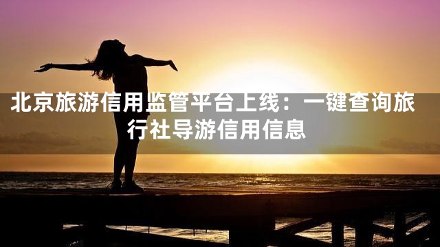 北京旅游信用监管平台上线：一键查询旅行社导游信用信息