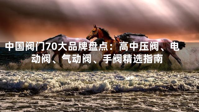 中国阀门70大品牌盘点：高中压阀、电动阀、气动阀、手阀精选指南