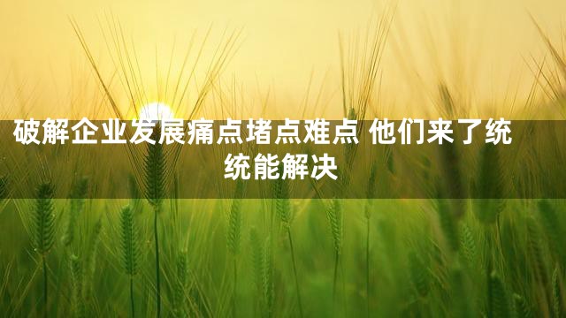 破解企业发展痛点堵点难点 他们来了统统能解决