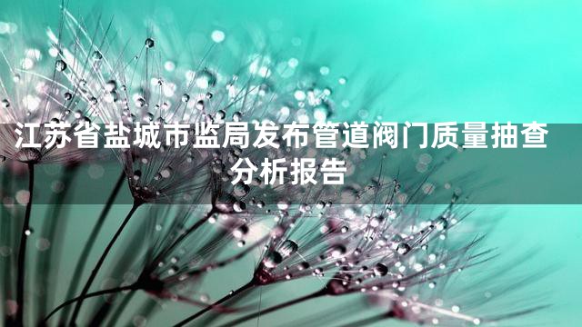 江苏省盐城市监局发布管道阀门质量抽查分析报告