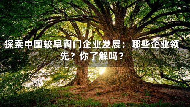 探索中国较早阀门企业发展：哪些企业领先？你了解吗？