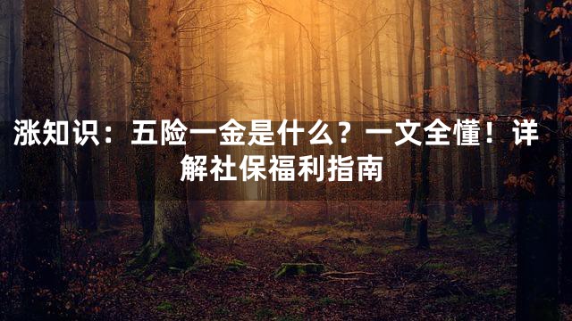 涨知识：五险一金是什么？一文全懂！详解社保福利指南