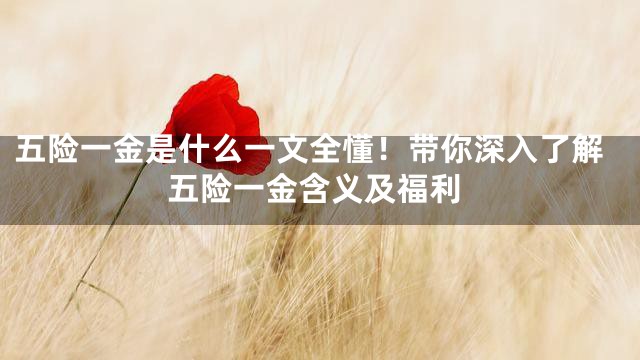 五险一金是什么一文全懂！带你深入了解五险一金含义及福利