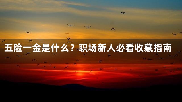 五险一金是什么？职场新人必看收藏指南