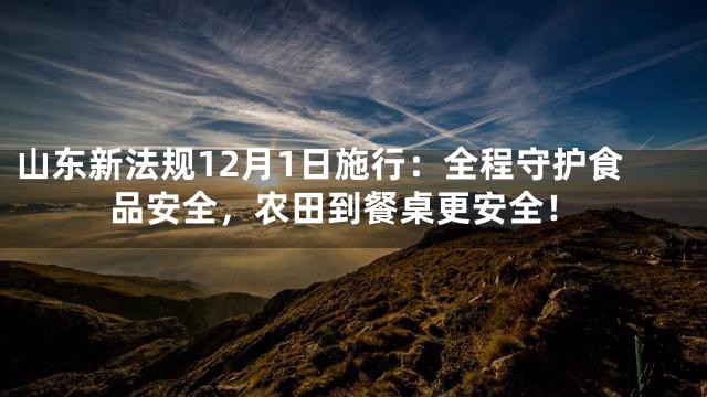 山东新法规12月1日施行：全程守护食品安全，农田到餐桌更安全！