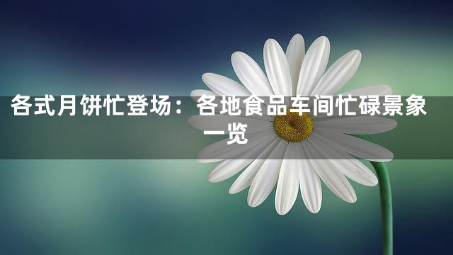各式月饼忙登场：各地食品车间忙碌景象一览