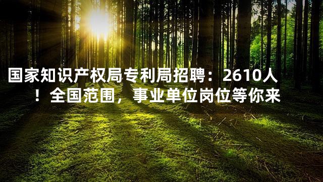 国家知识产权局专利局招聘：2610人！全国范围，事业单位岗位等你来