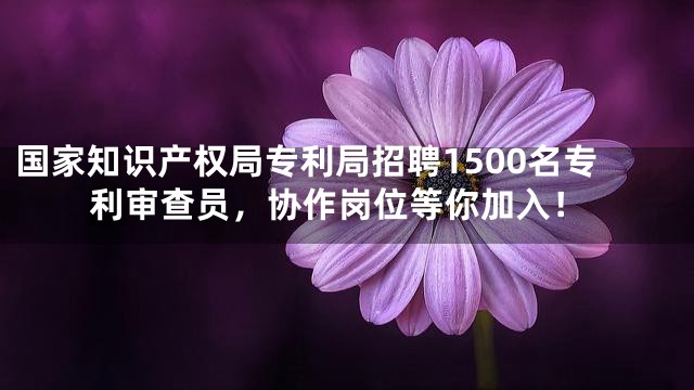 国家知识产权局专利局招聘1500名专利审查员，协作岗位等你加入！