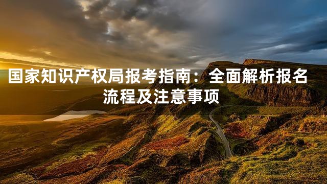 国家知识产权局报考指南：全面解析报名流程及注意事项