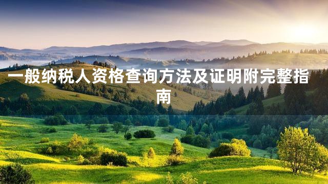 一般纳税人资格查询方法及证明附完整指南