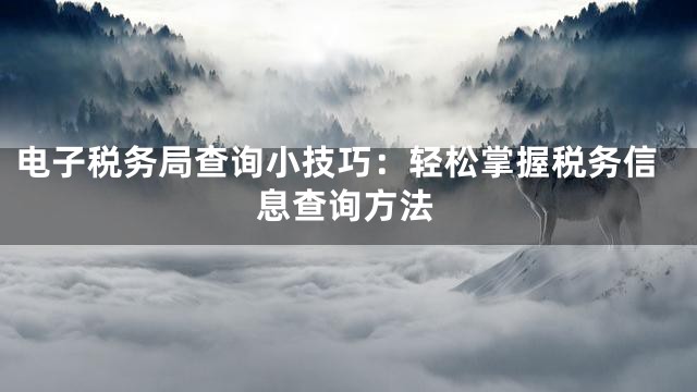 电子税务局查询小技巧：轻松掌握税务信息查询方法