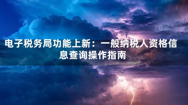 电子税务局功能上新：一般纳税人资格信息查询操作指南