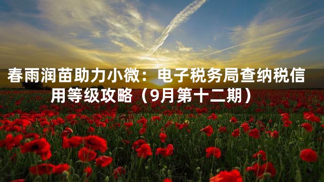 春雨润苗助力小微：电子税务局查纳税信用等级攻略（9月第十二期）