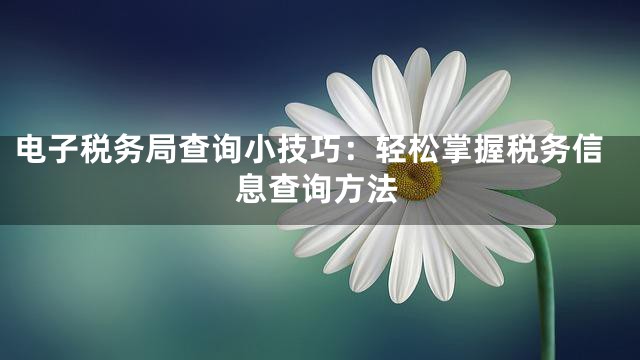 电子税务局查询小技巧：轻松掌握税务信息查询方法
