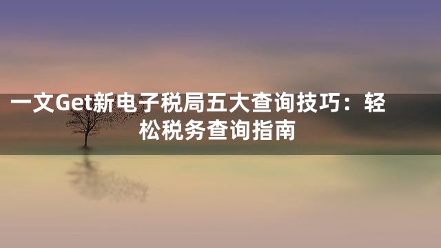一文Get新电子税局五大查询技巧：轻松税务查询指南