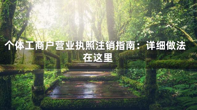 个体工商户营业执照注销指南：详细做法在这里