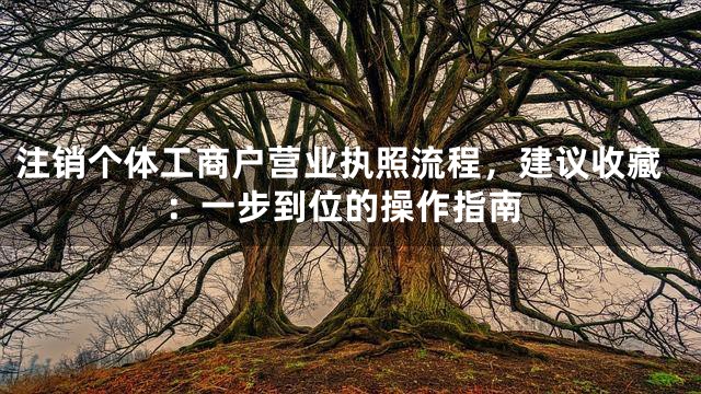 注销个体工商户营业执照流程，建议收藏：一步到位的操作指南