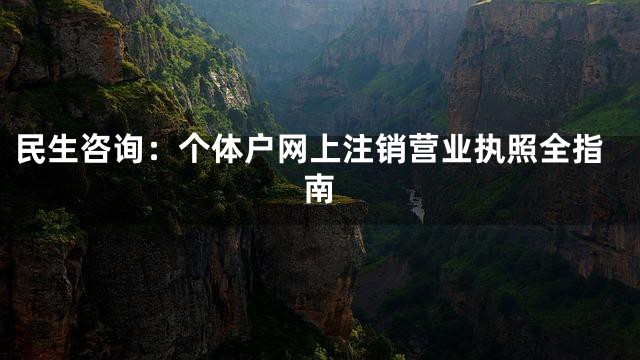 民生咨询：个体户网上注销营业执照全指南