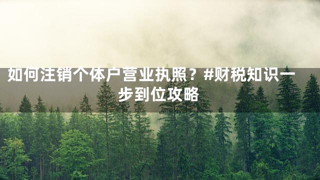 如何注销个体户营业执照？#财税知识一步到位攻略