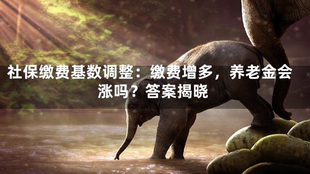 社保缴费基数调整：缴费增多，养老金会涨吗？答案揭晓