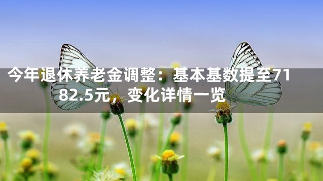 今年退休养老金调整：基本基数提至7182.5元，变化详情一览