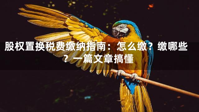 股权置换税费缴纳指南：怎么缴？缴哪些？一篇文章搞懂