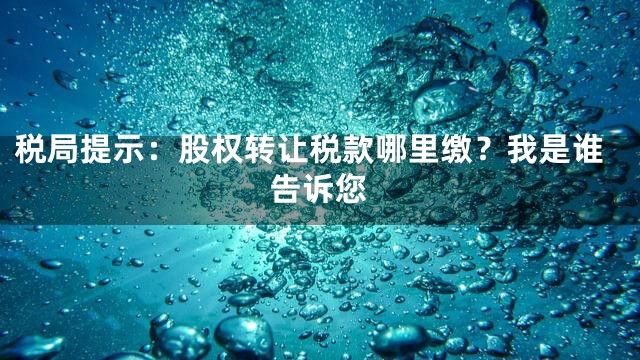 税局提示：股权转让税款哪里缴？我是谁告诉您