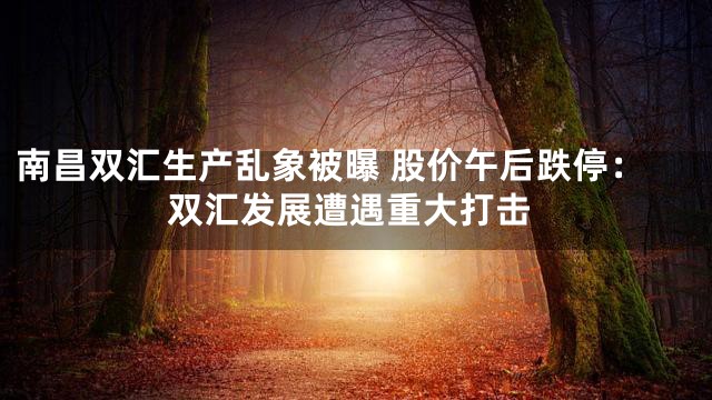 南昌双汇生产乱象被曝 股价午后跌停：双汇发展遭遇重大打击