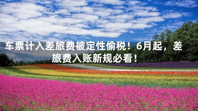 车票计入差旅费被定性偷税！6月起，差旅费入账新规必看！