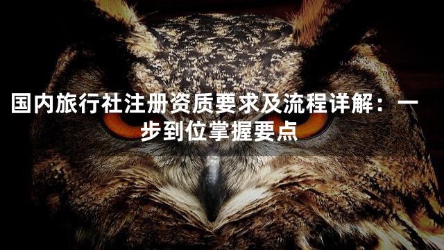 国内旅行社注册资质要求及流程详解：一步到位掌握要点