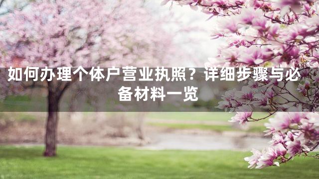如何办理个体户营业执照？详细步骤与必备材料一览