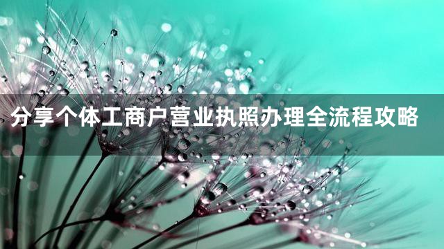 分享个体工商户营业执照办理全流程攻略
