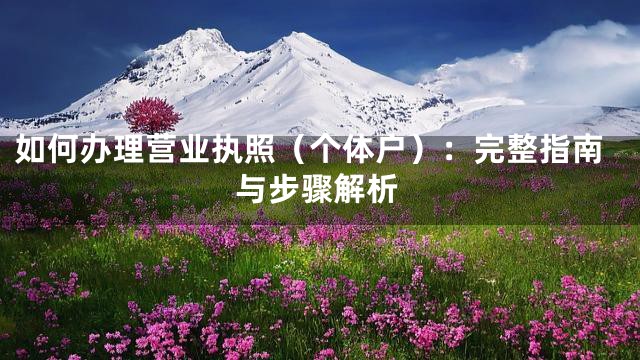 如何办理营业执照（个体户）：完整指南与步骤解析