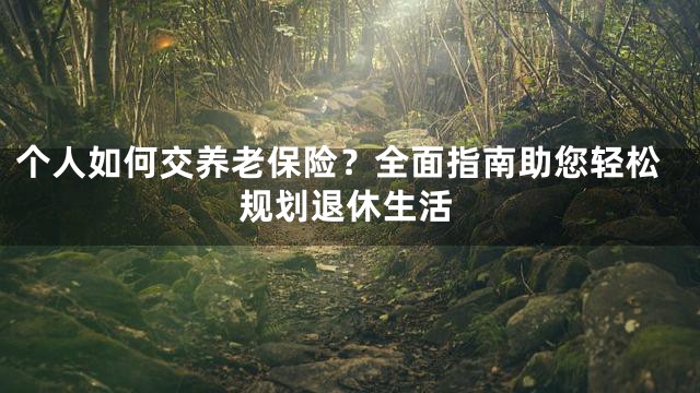 个人如何交养老保险？全面指南助您轻松规划退休生活