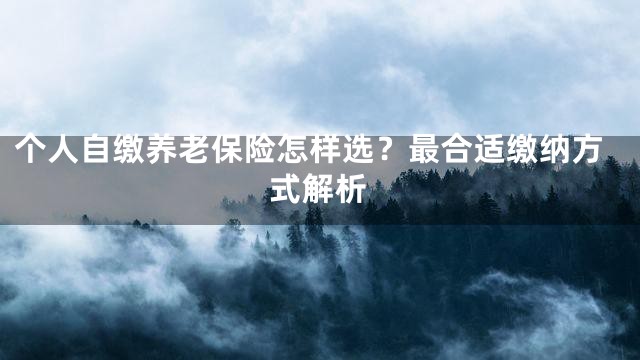 个人自缴养老保险怎样选？最合适缴纳方式解析