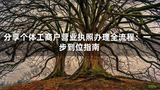 分享个体工商户营业执照办理全流程：一步到位指南