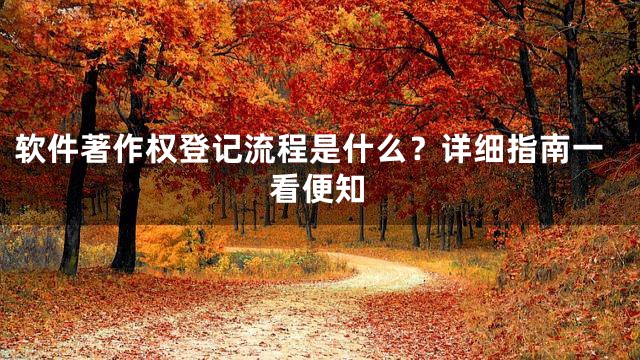 软件著作权登记流程是什么？详细指南一看便知
