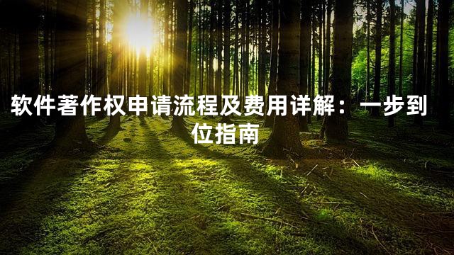 软件著作权申请流程及费用详解：一步到位指南