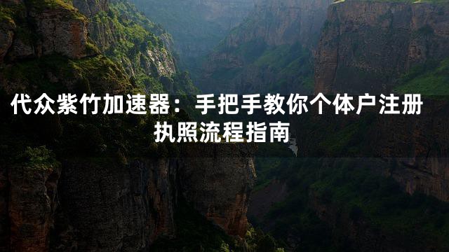 代众紫竹加速器：手把手教你个体户注册执照流程指南