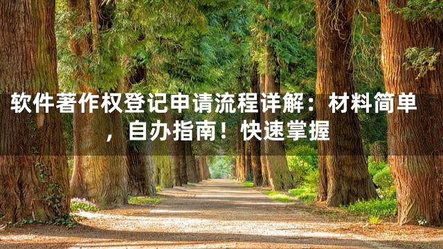 软件著作权登记申请流程详解：材料简单，自办指南！快速掌握