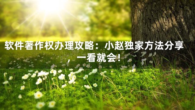 软件著作权办理攻略：小赵独家方法分享，一看就会！